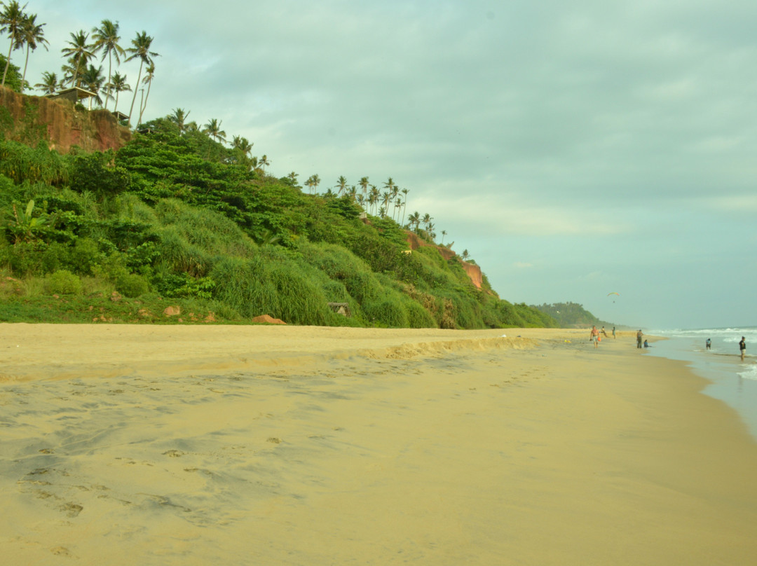 Varkala Beach-瓦卡拉必去景点