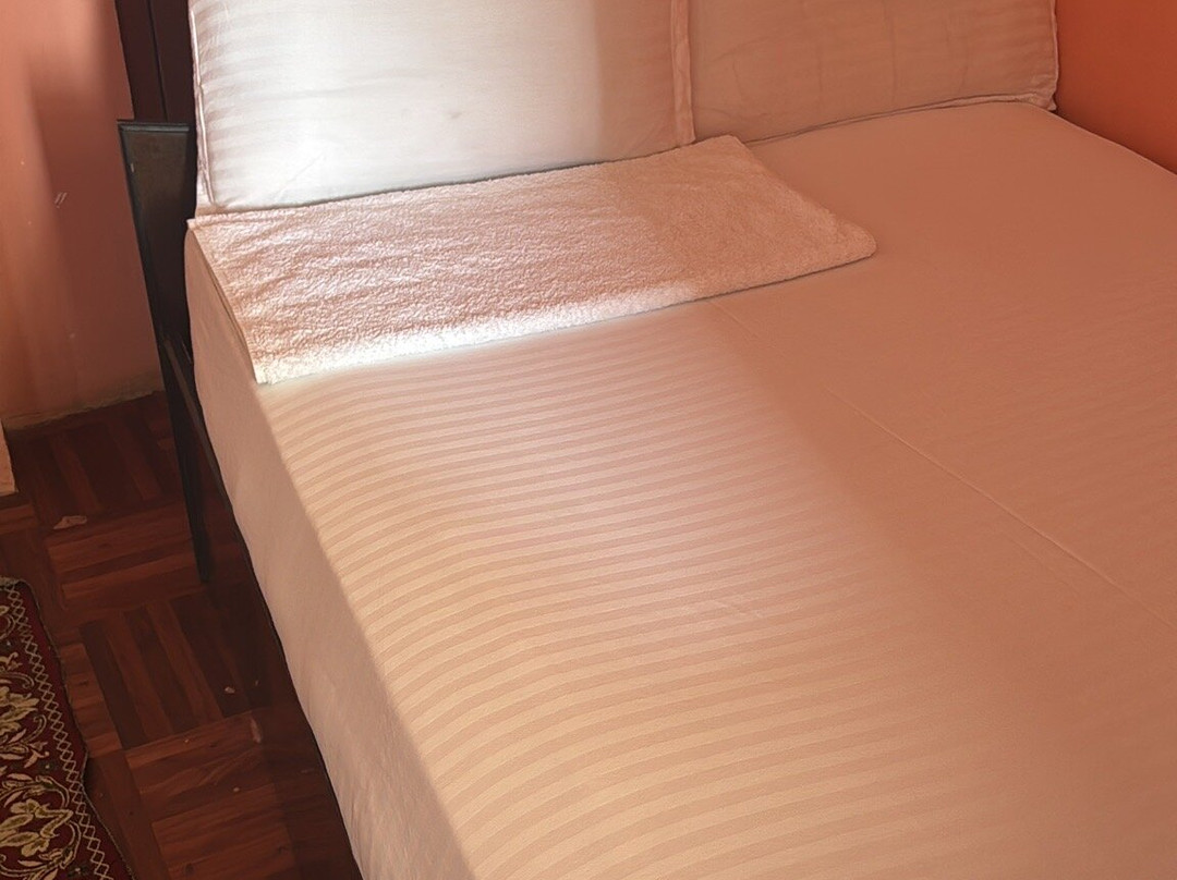Shristi Hotel & Lodge主图