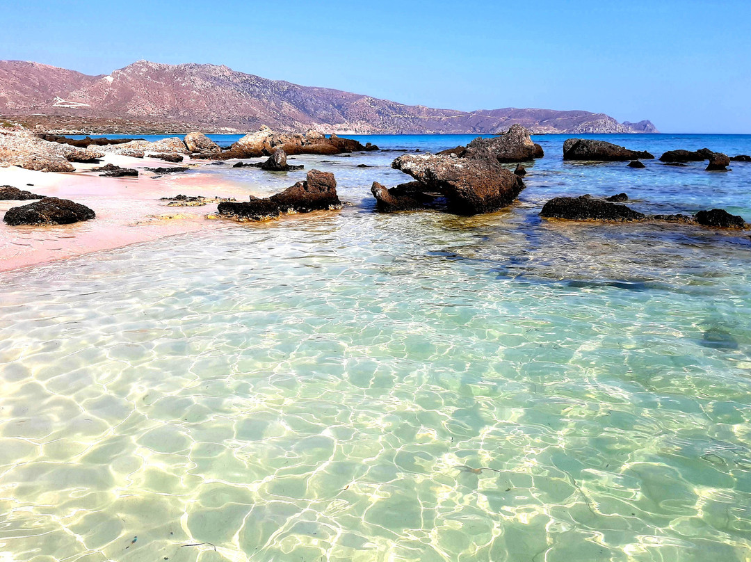 Elafonissi Beach-拉格尼西必去景点