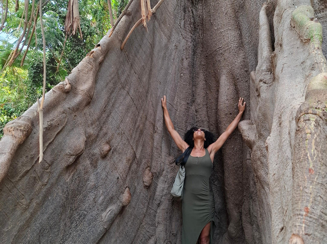 Kachikally Crocodile Pool-Bakau必去景点