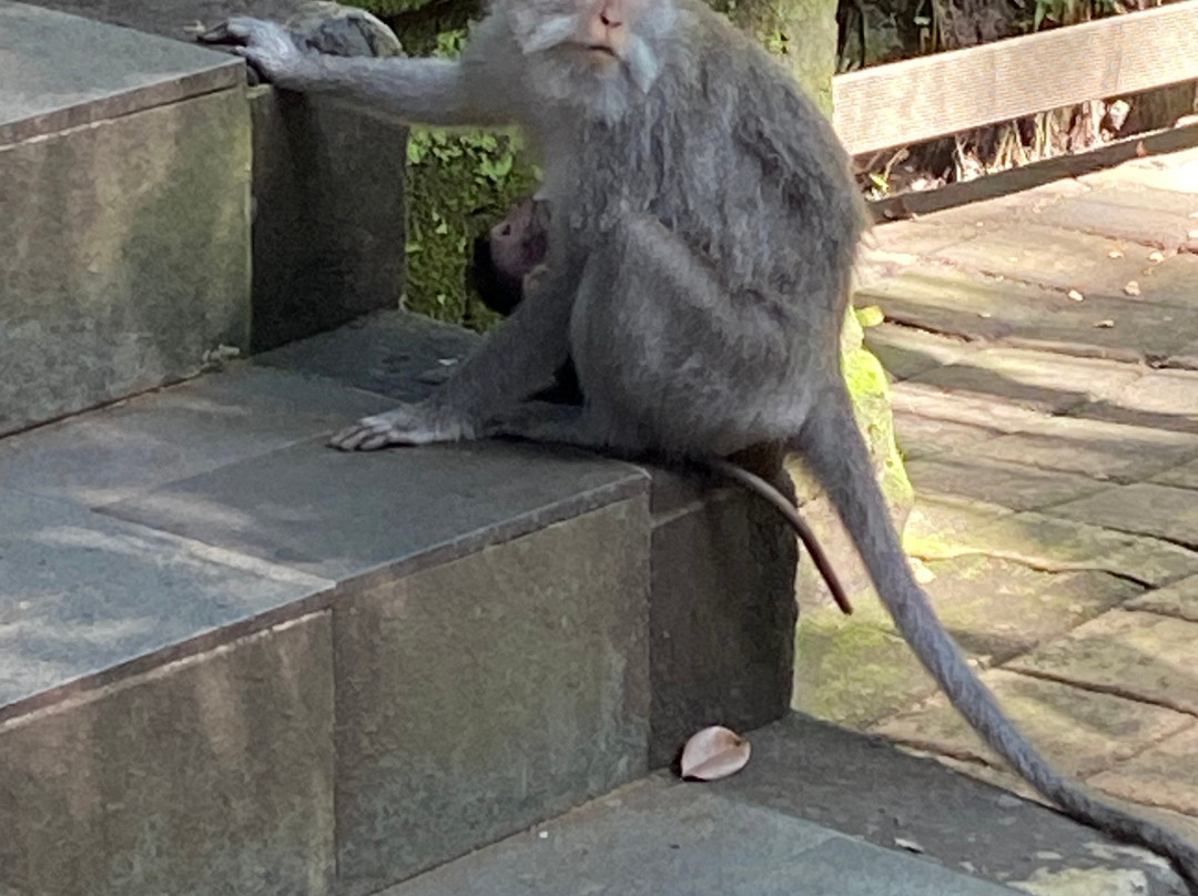 Cili Travel – Authentic Bali Adventures-沙努尔必去景点