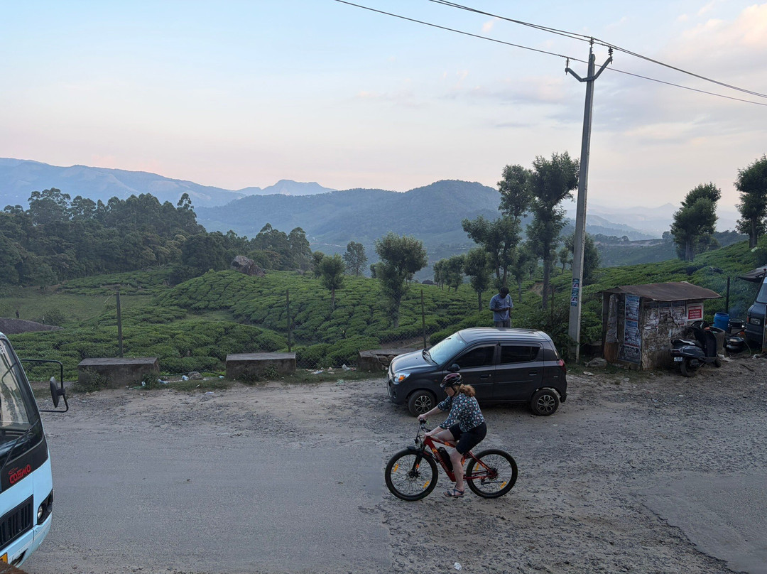 Club Mahindra Mount Serene, Munnar Resort主图