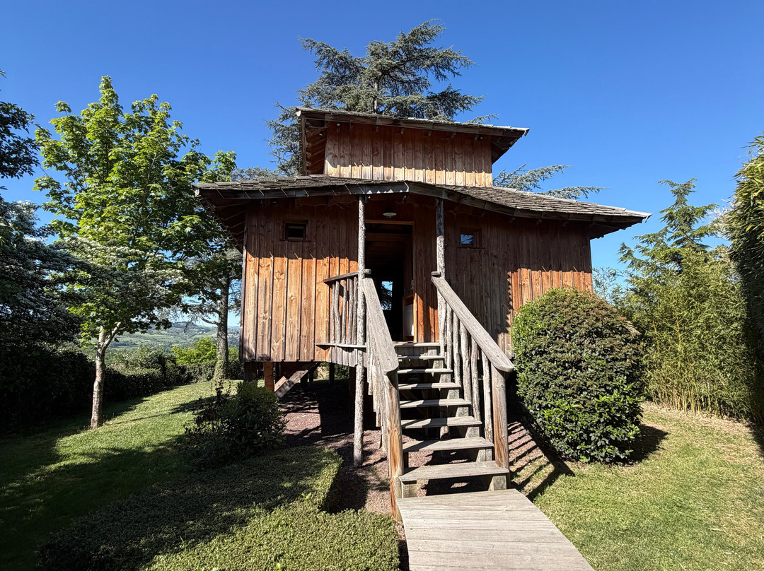 Domaine des Grands Cèdres主图