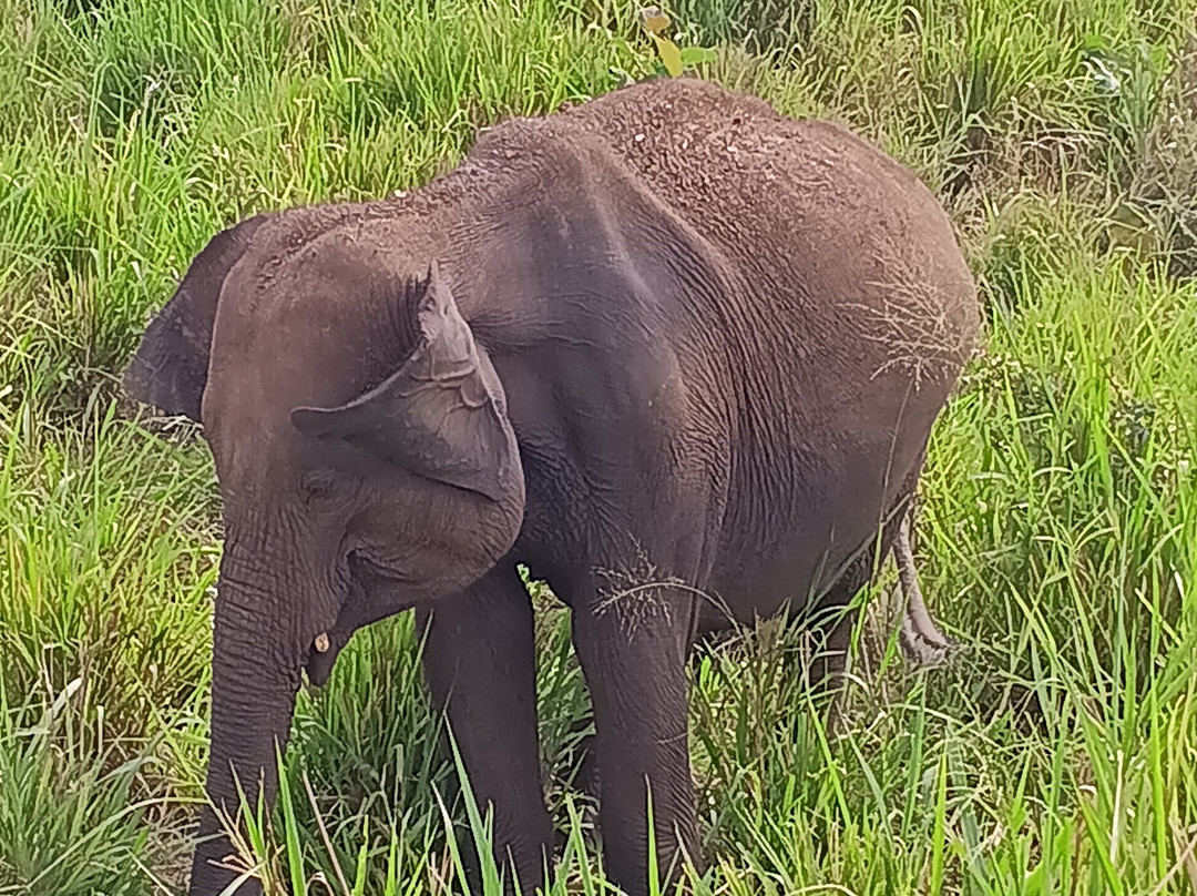 Trinco Lanka Travels-Trincomalee必去景点