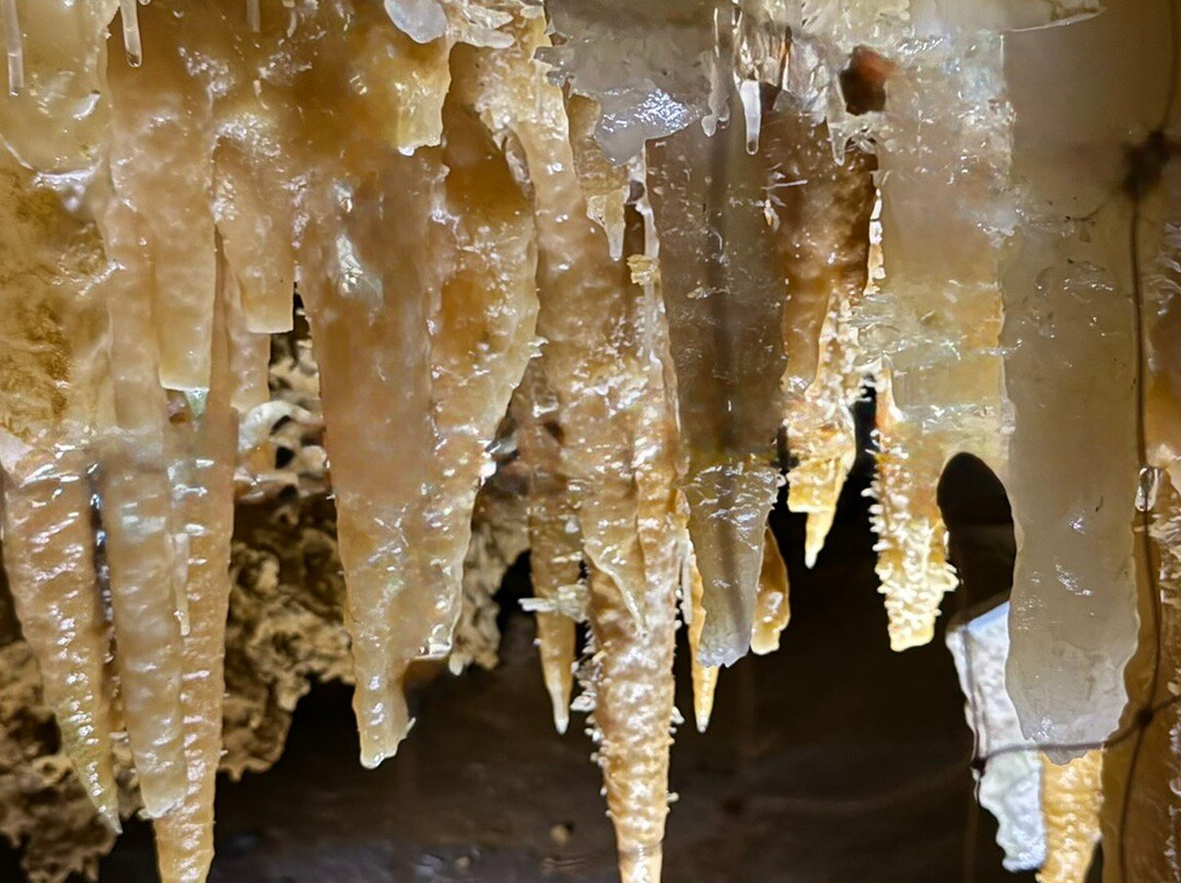 Grotte du Grand Roc-Les Eyzies-de-Tayac-Sireuil必去景点
