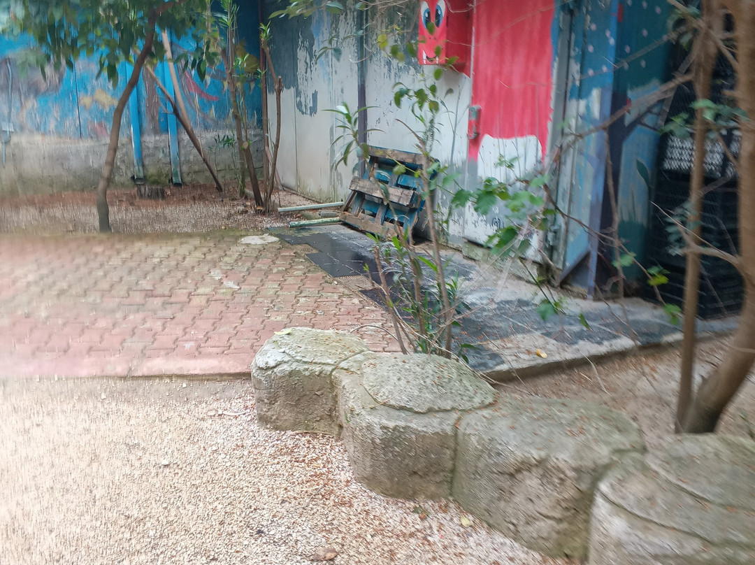 Dino Park-Goynuk必去景点
