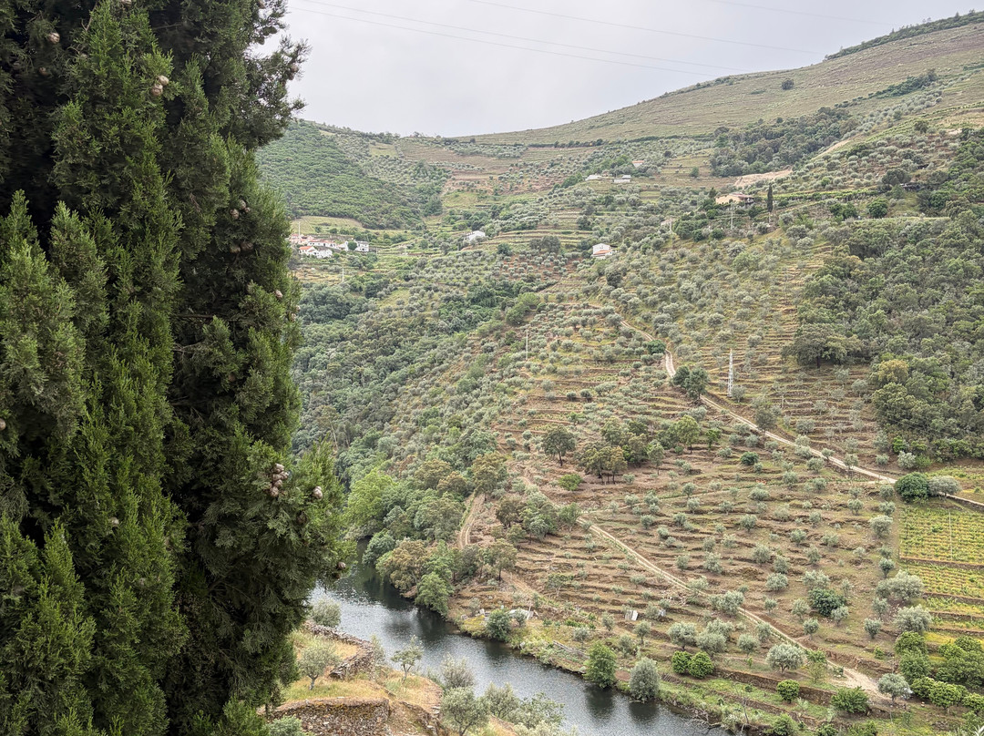 LAB Tours - Douro Valley Experiences-波尔图必去景点