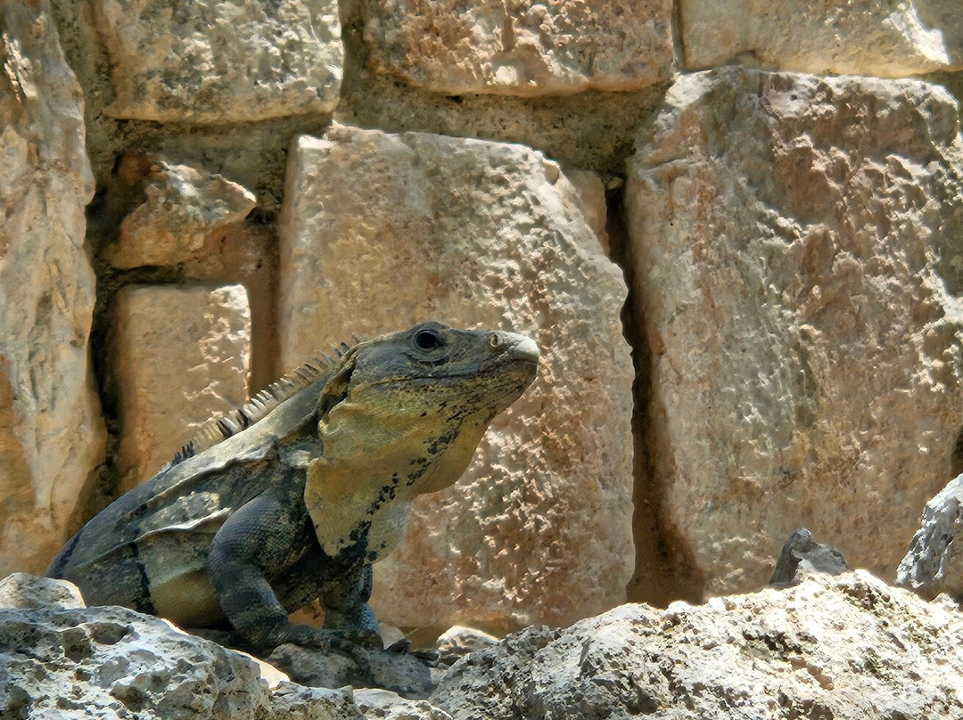 Uxmal-Muna必去景点