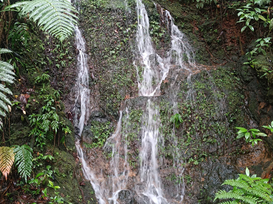 Carbet Falls (Les Chutes du Carbet)-Parc National必去景点