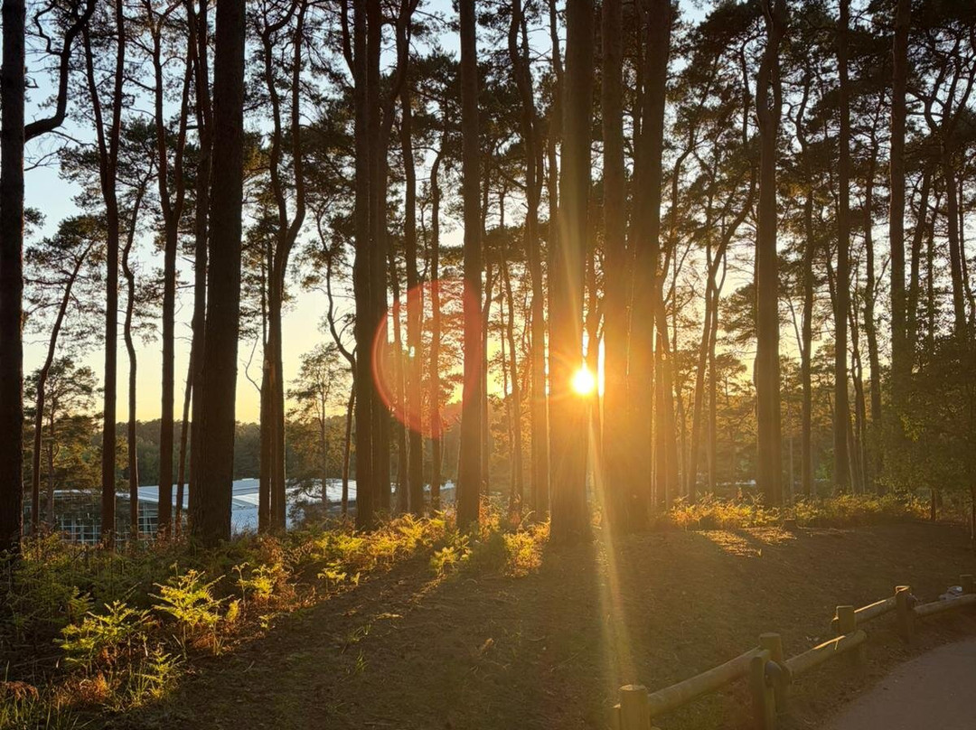 Center Parcs Woburn Forest主图