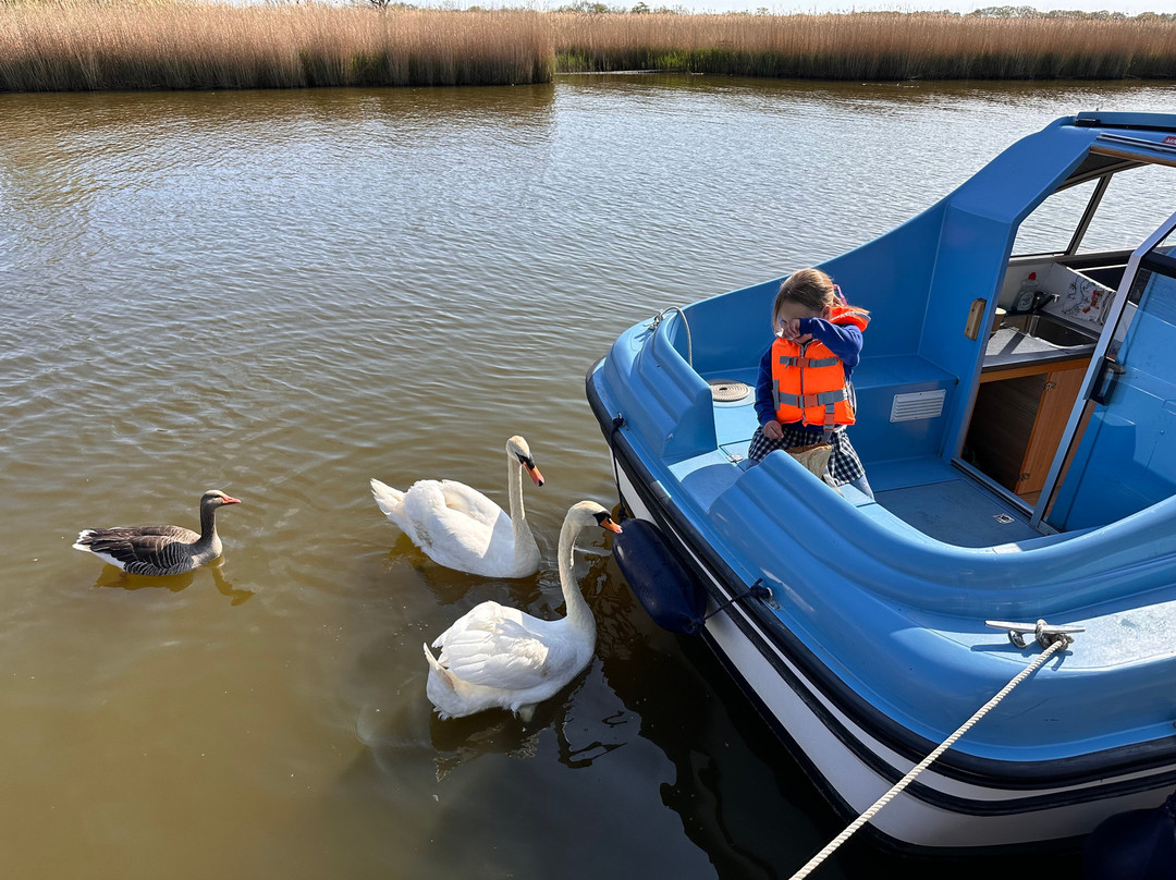 Martham Ferry Day Boat Hire-Martham必去景点