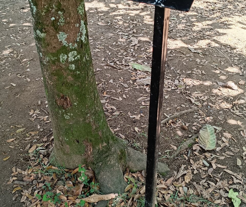 Jardín Botánico de Medellín-麦德林必去景点