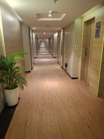 赛雅吉Effotel印多尔-旅行者