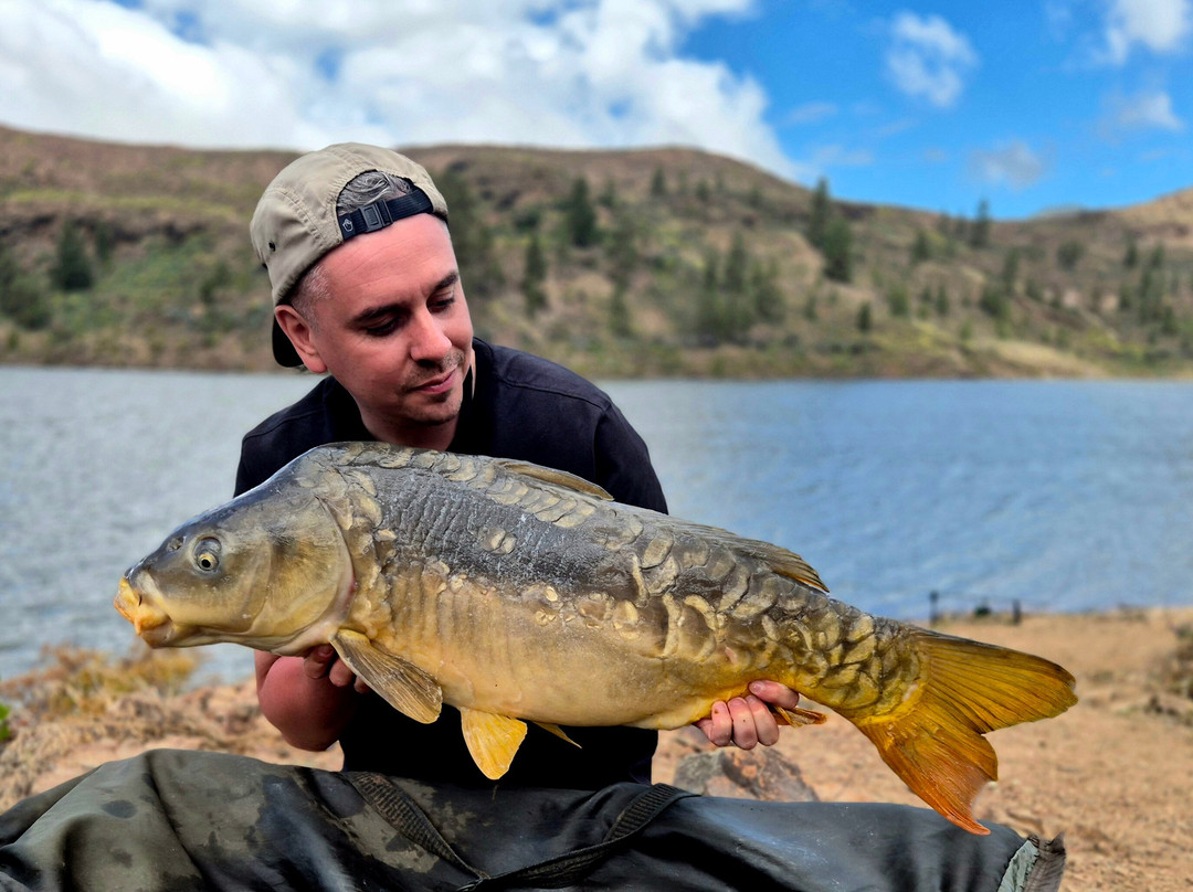 Carp Gran Canaria-San Bartolome de Tirajana必去景点