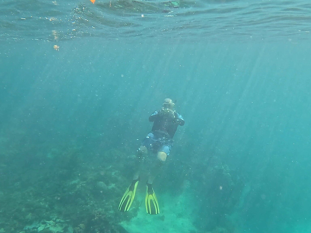 Islander Girl Snorkel &Tours-Tavernier必去景点
