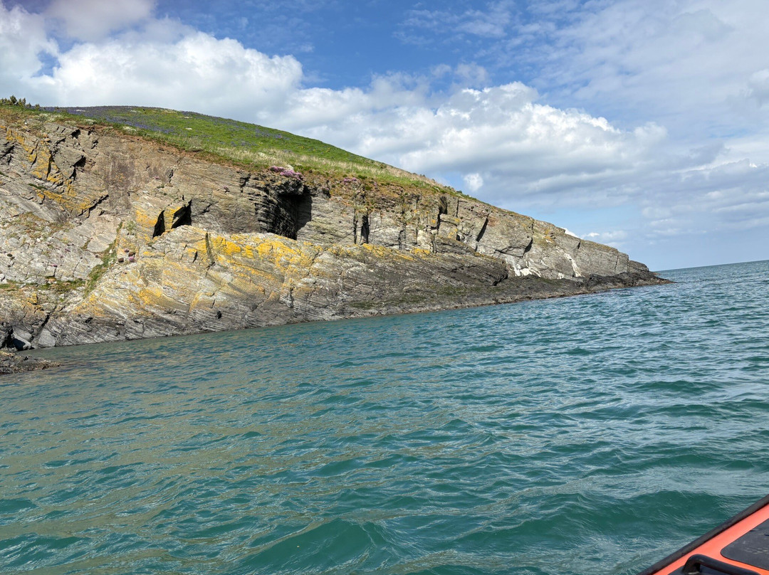A Bay To Remember Wildlife Boat Trips-St. Dogmaels必去景点
