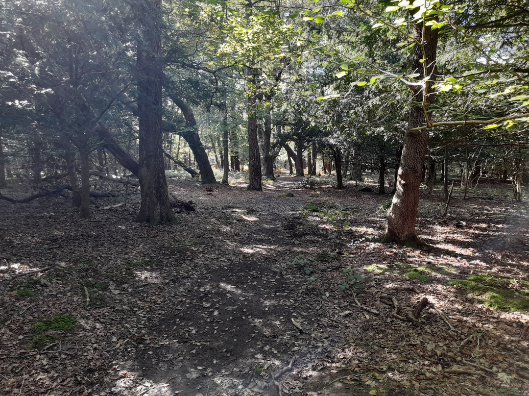 Arnside Knott-Arnside必去景点
