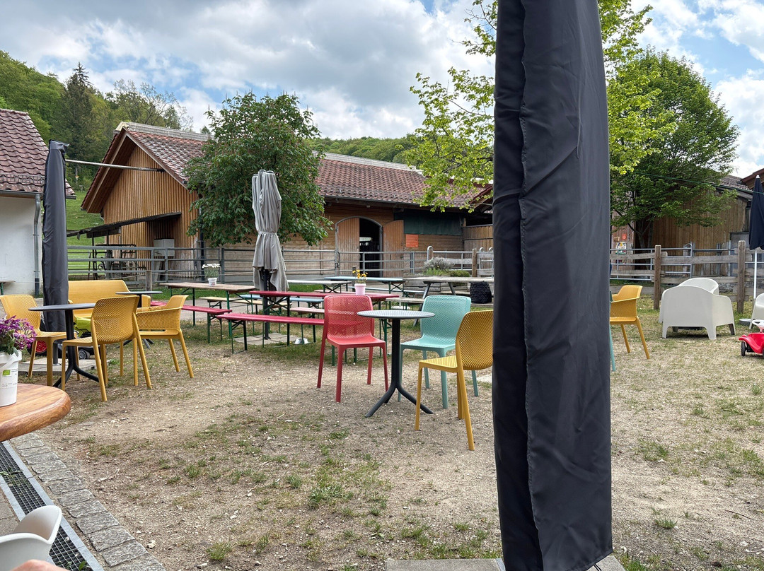Talhofcafé - Raum Für Vielfalt