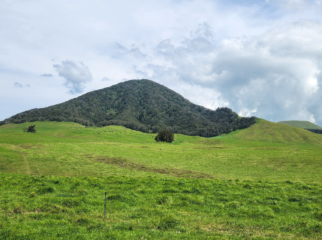 Na'alapa Stables - Kahua Ranch-卡慕也拉必去景点