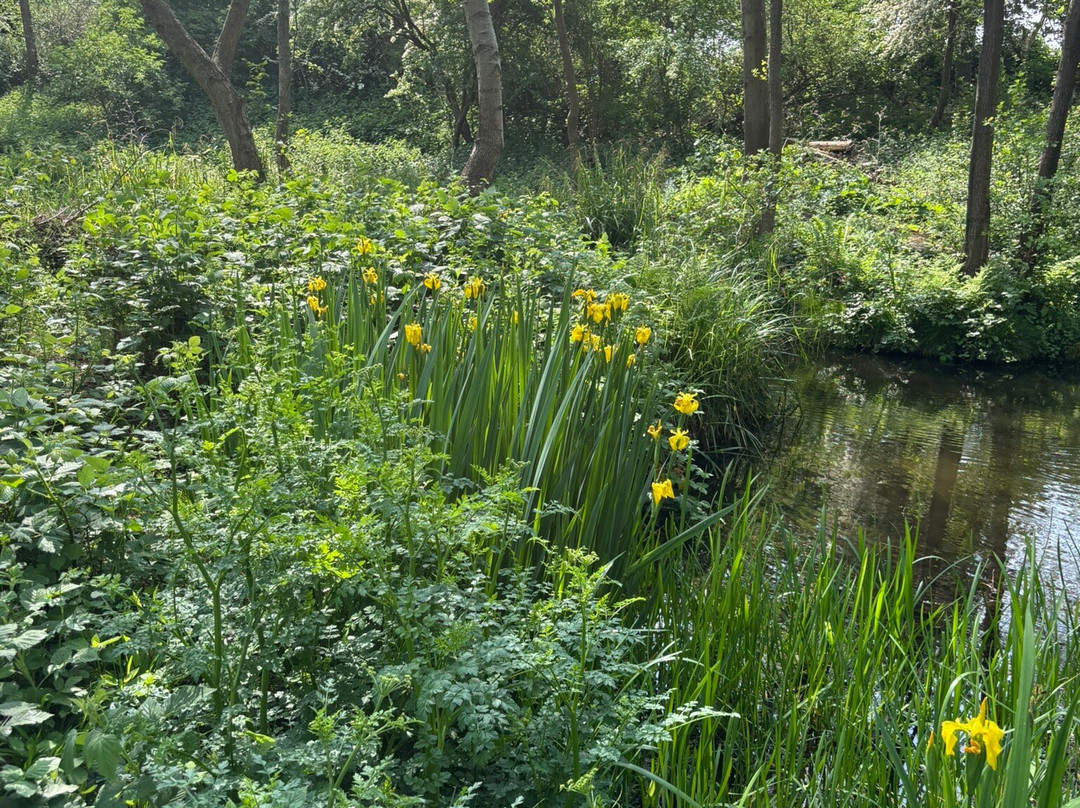 Sevenoaks Wildlife Reserve-Sevenoaks必去景点