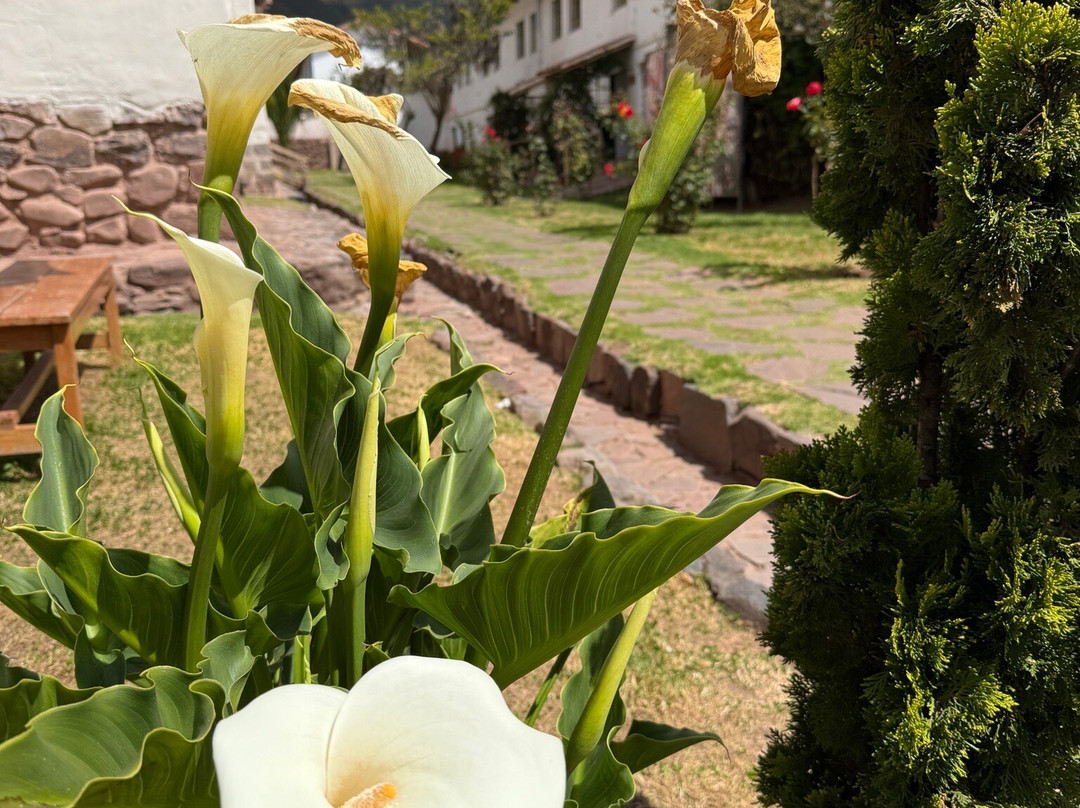 Machu Travel Peru-库斯科必去景点