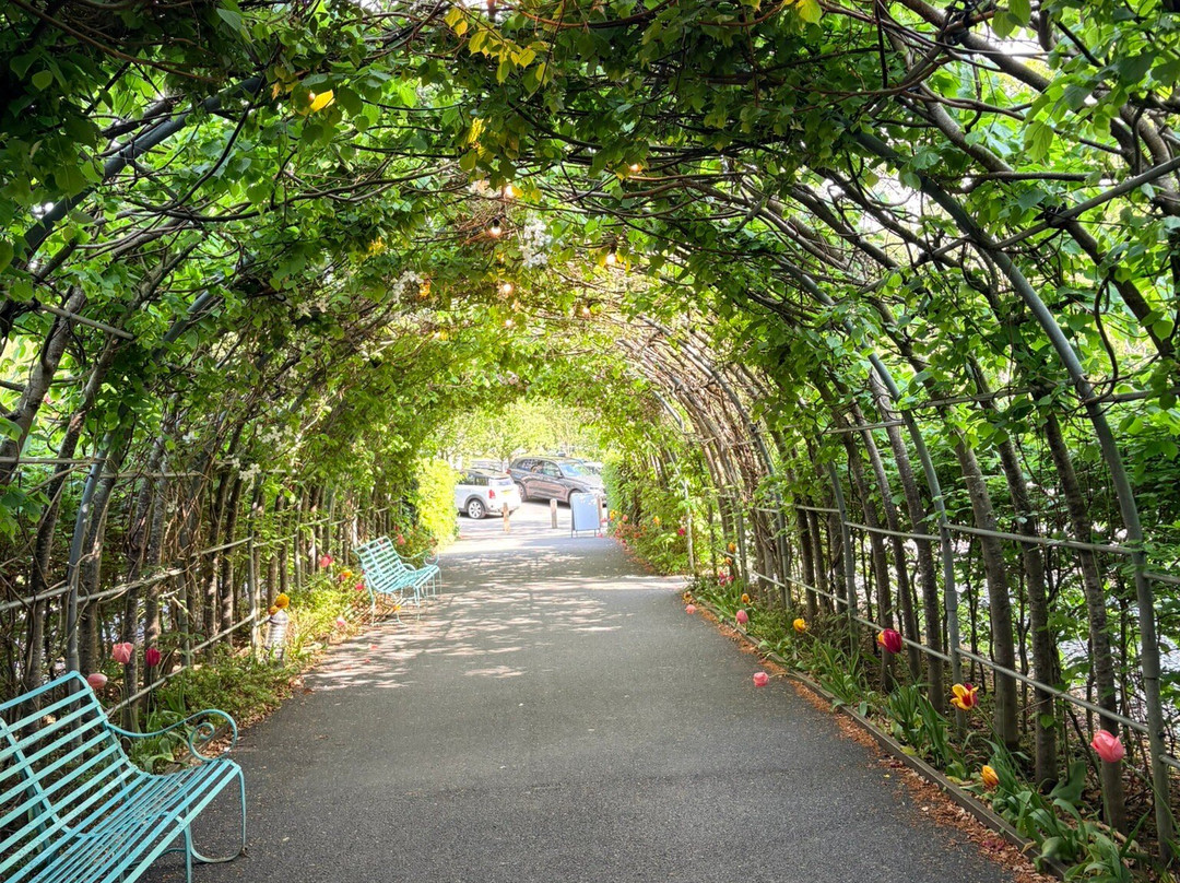 Portmeirion Village-波特梅里恩必去景点