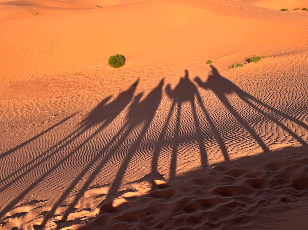 Morocco Sahara 4x4 - Day Tours-梅如卡必去景点