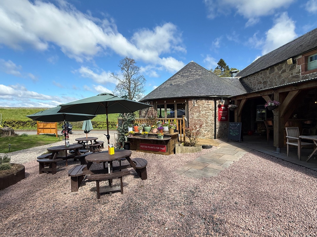 The Wandering Bear Cafe