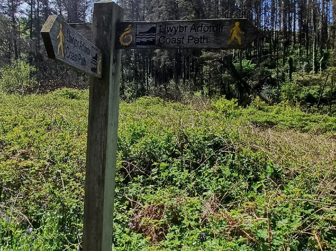 Ceredigion Coast Path-阿伯里斯特威斯必去景点