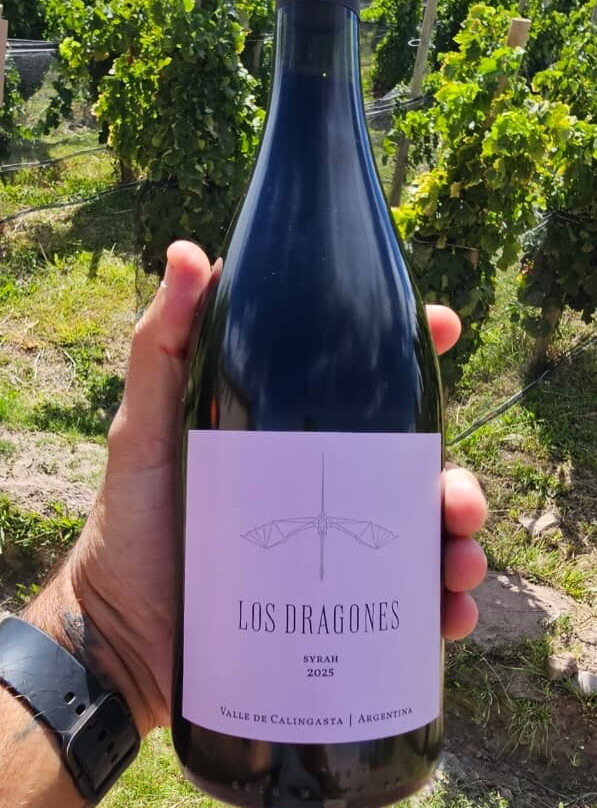 Bodega Los Dragones-Barreal必去景点