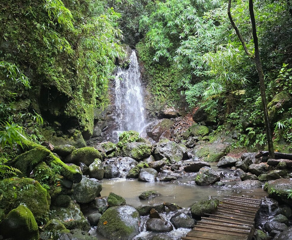 Vallé Advenature Park-Chamouny必去景点