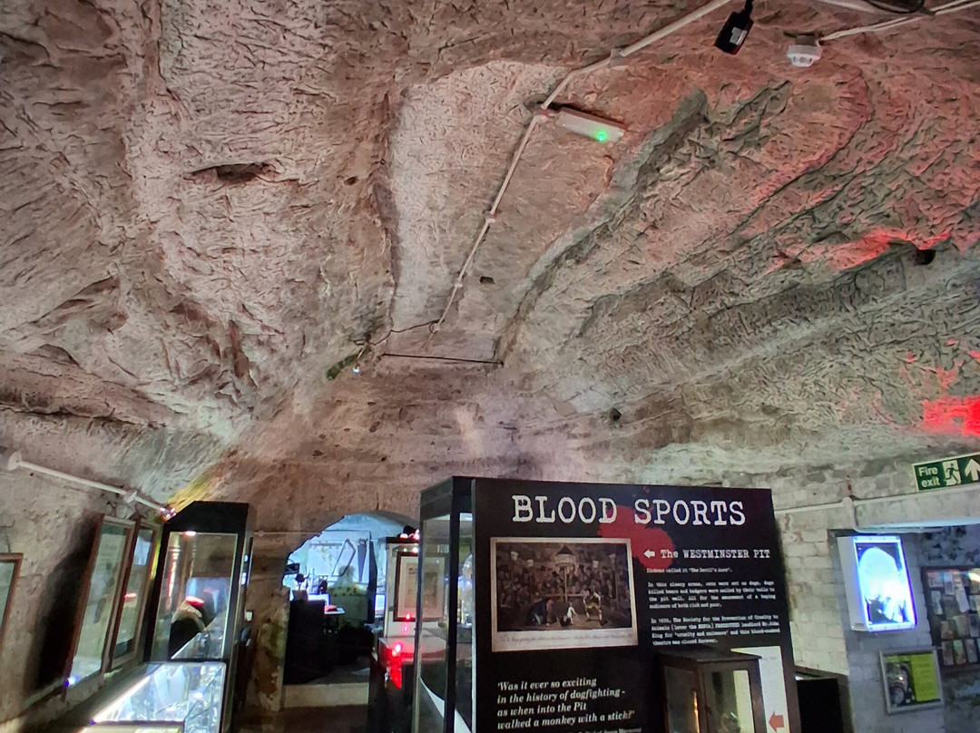 The True CRIME Museum-海斯廷斯必去景点