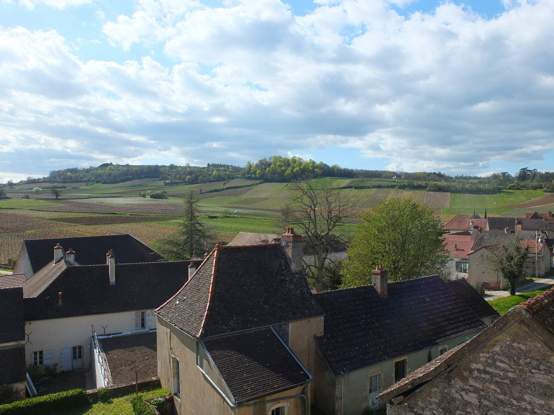 Château de Chamirey-Mercurey必去景点