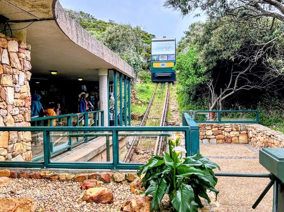 Cape Point-桌山国家公园必去景点