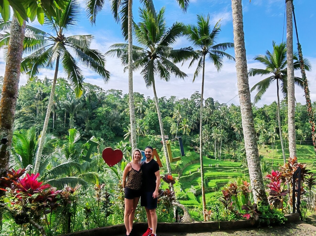 Bali Chauffeur - Day Tours-沙努尔必去景点