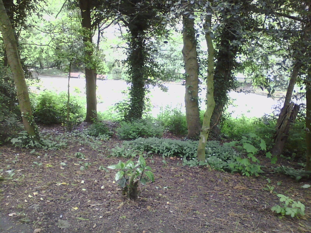 Saltburn Valley Gardens