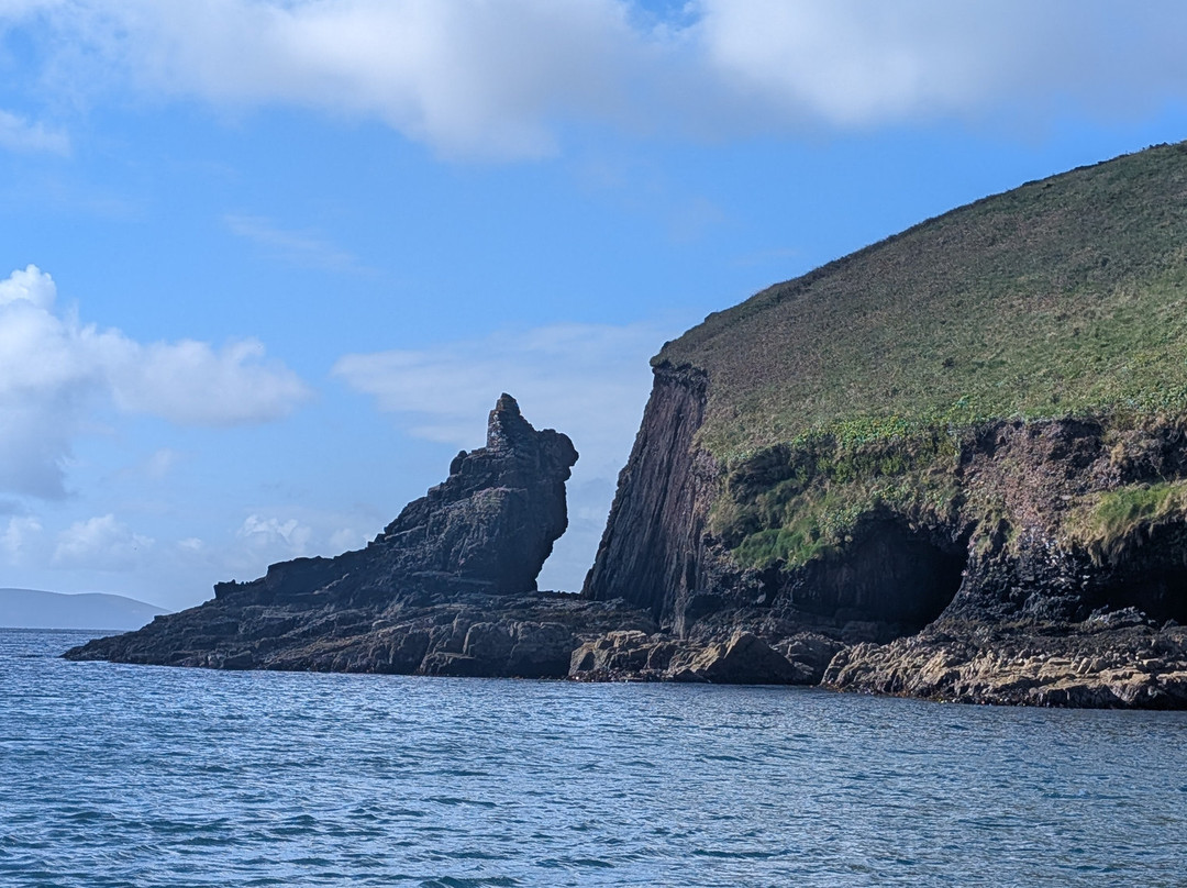 West Kerry Sea Angling and Eco Tours-丁格尔必去景点