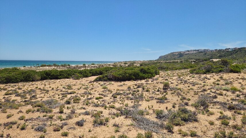 Platja Del Carabassí-埃尔切必去景点