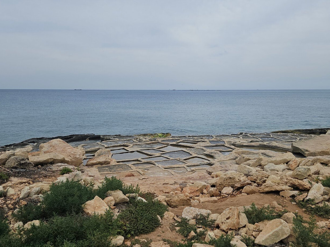 Zonqor Point Salt Pans-Marsascala必去景点