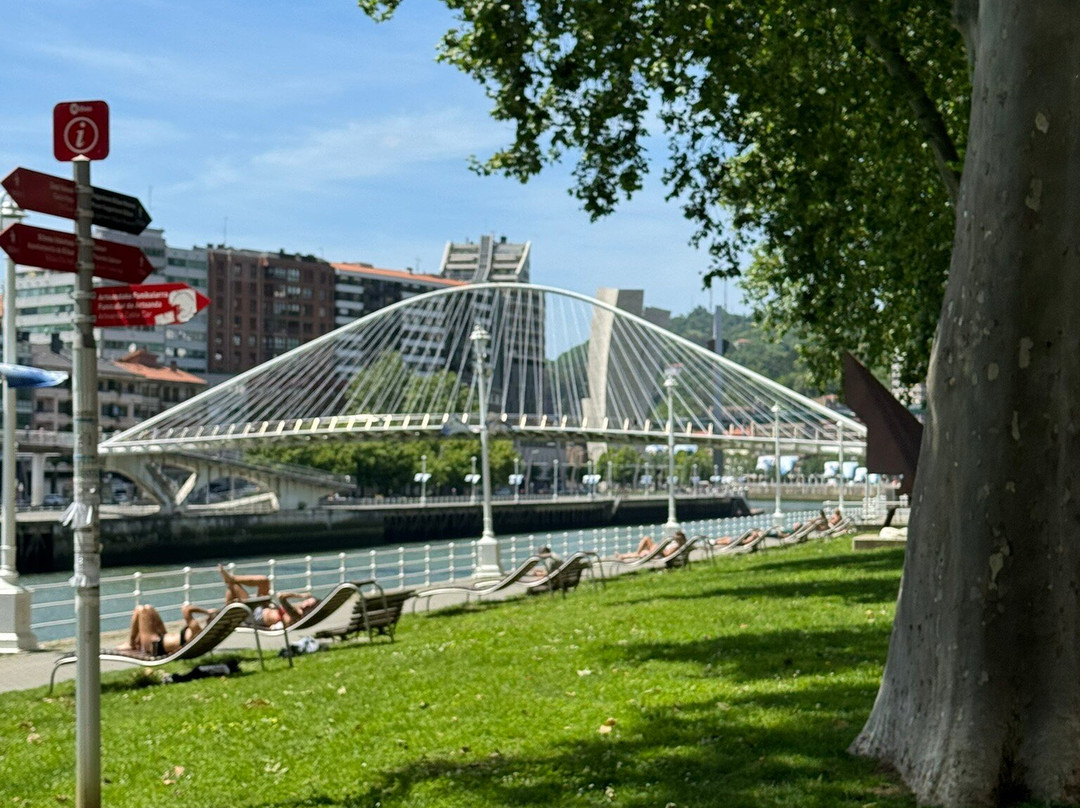 Puente Zubizuri-毕尔巴鄂必去景点