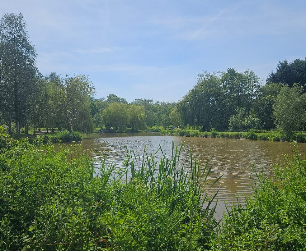 Docklow Pools-Docklow必去景点