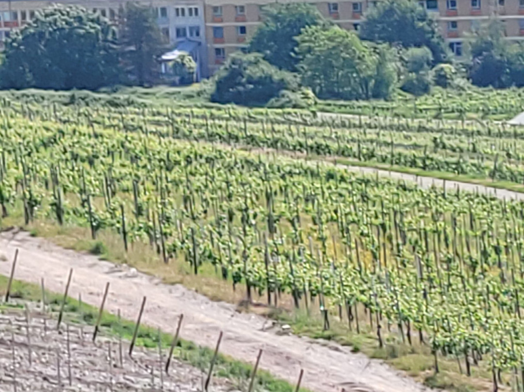Mosel Valley-贝恩卡斯特尔－屈斯必去景点