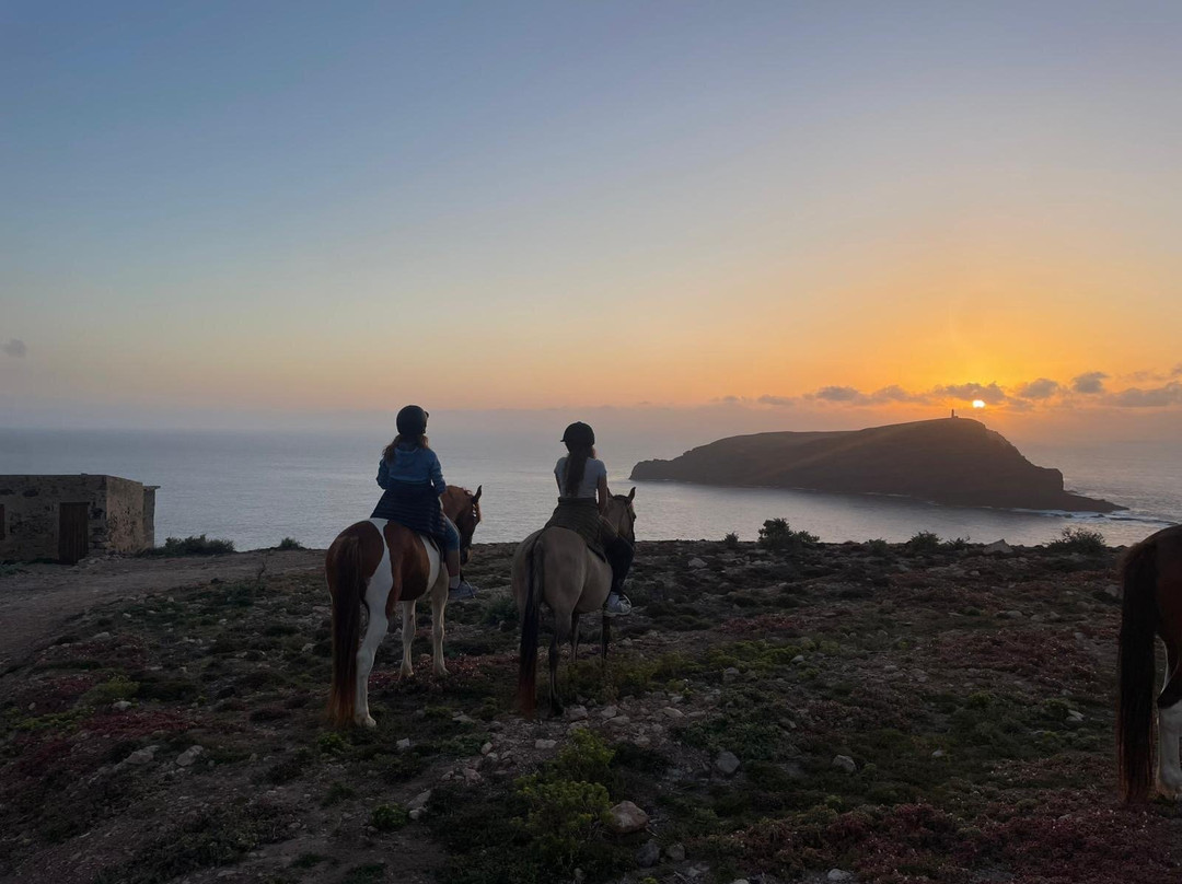 Centro Hípico do Porto Santo-Porto Santo Island必去景点