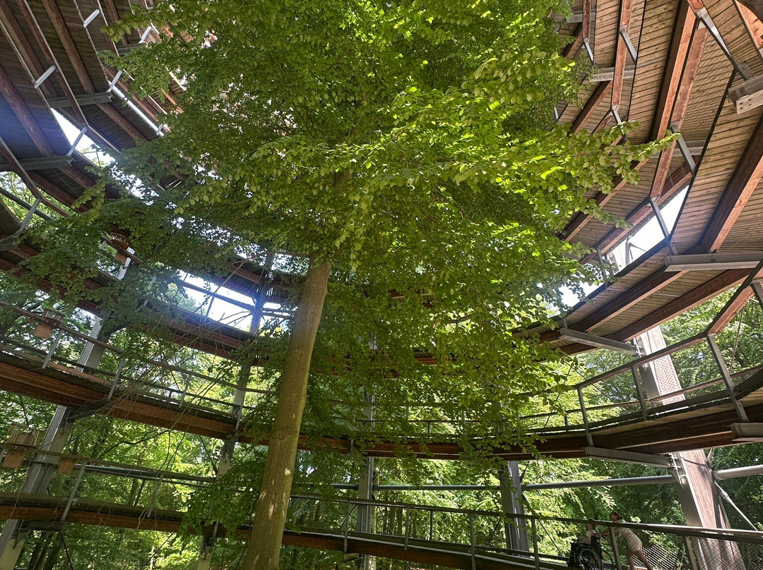 Baumwipfelpfad im Naturerbe Zentrum Rügen-奥茨巴德宾兹必去景点