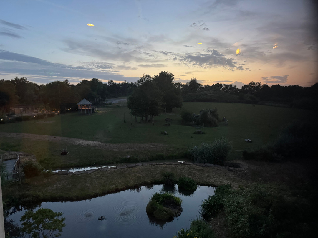 Chessington World of Adventures Resort