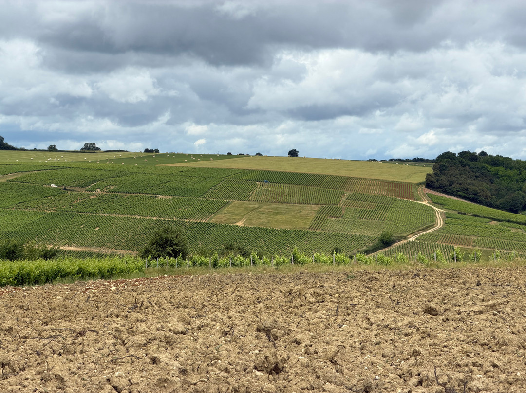 Domaine Philippe Raimbault-Sury-en-Vaux必去景点