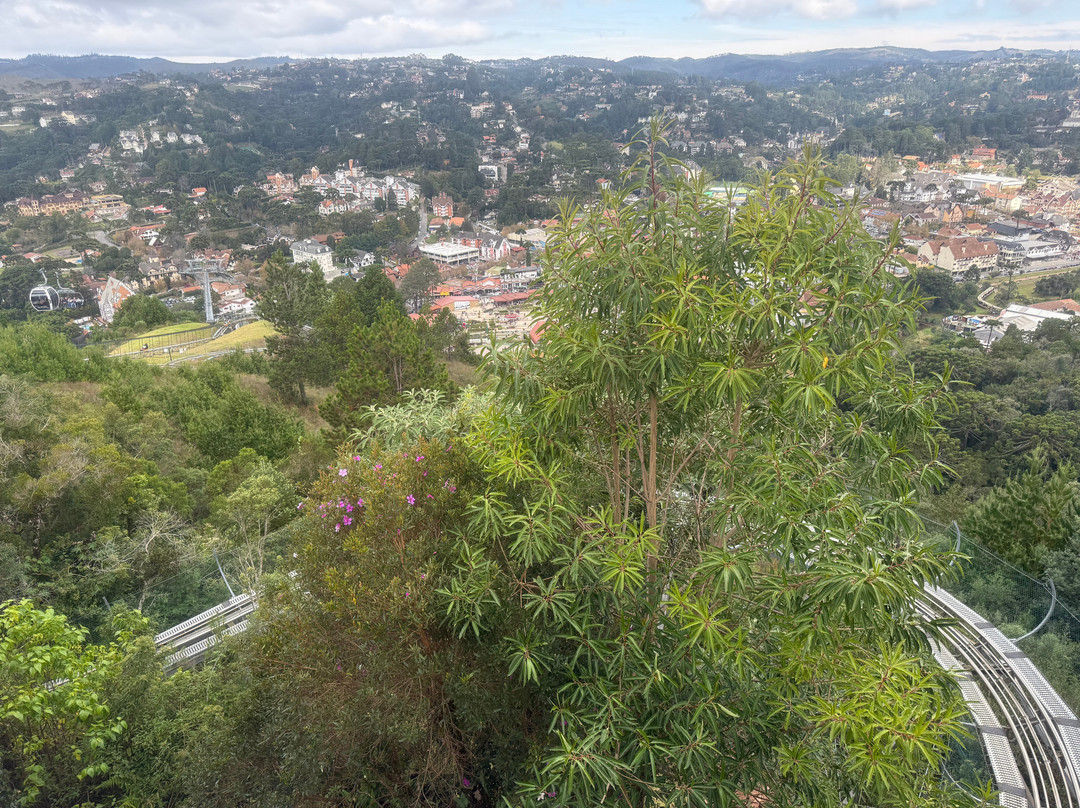 Morro do Elefante-坎普斯－杜若尔当必去景点