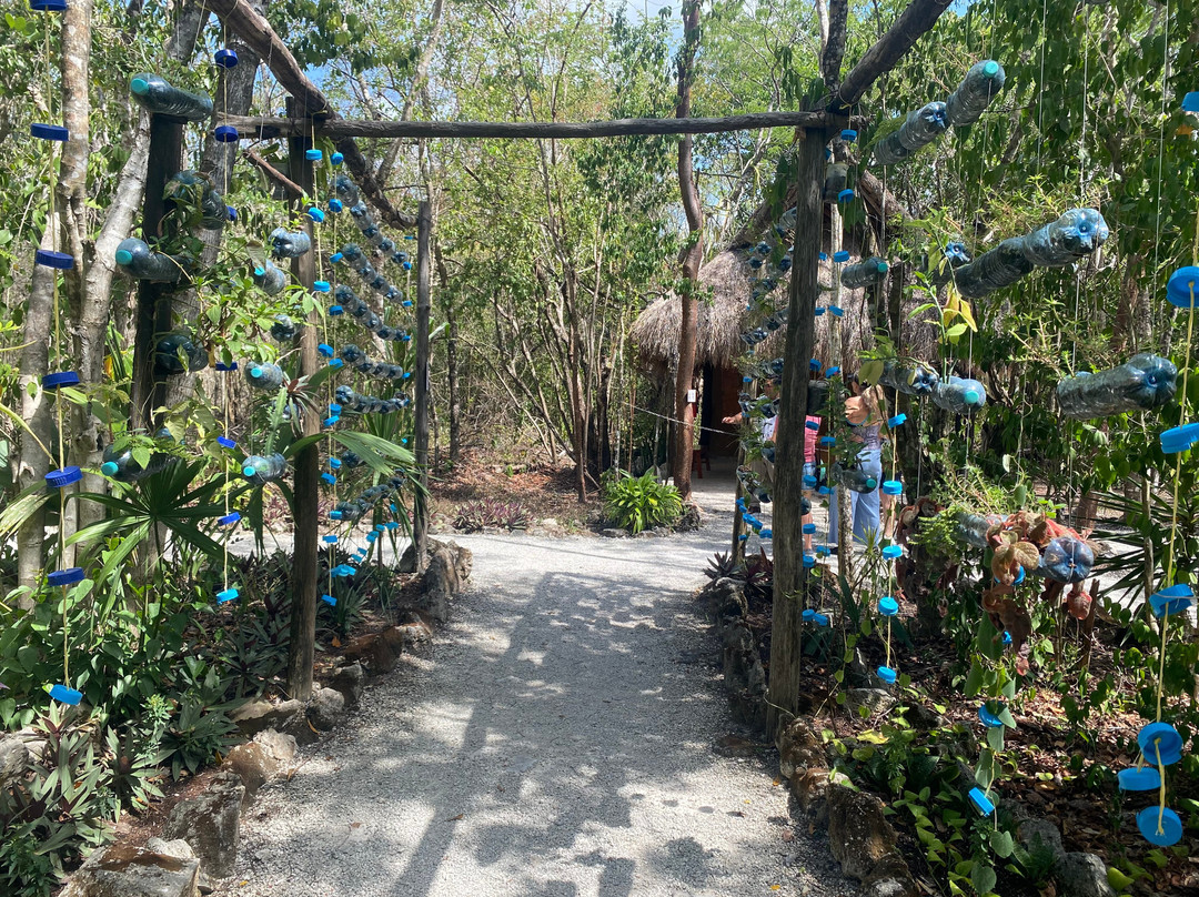 Mayan Bee Sanctuary-San Miguel de Cozumel必去景点