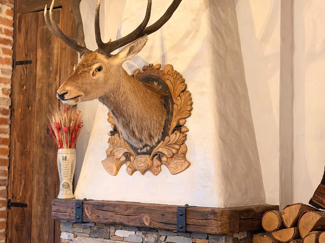 Bike2rent-布加勒斯特必去景点