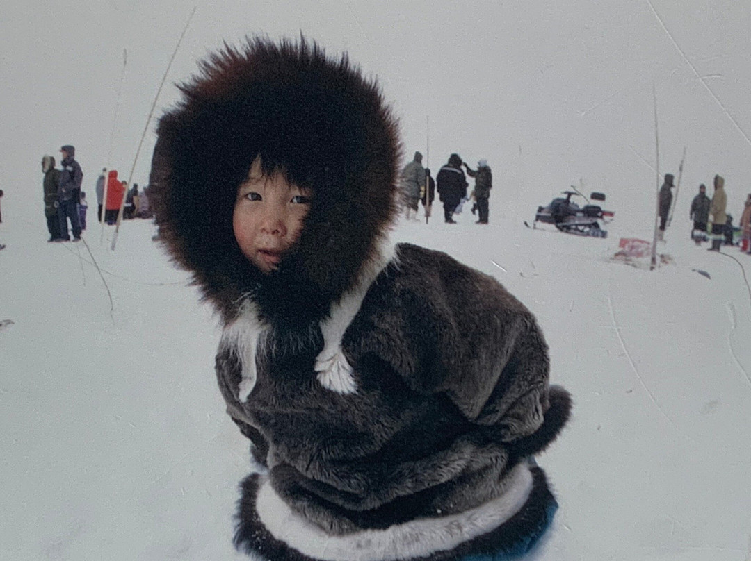The Polar Museum, Scott Polar Research Institute-剑桥必去景点